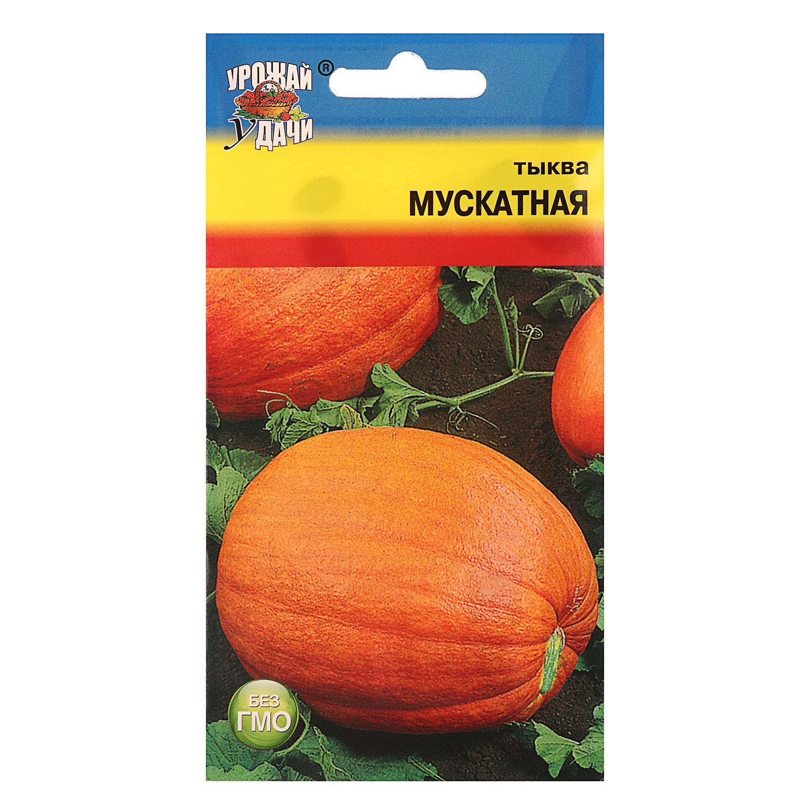 Семена Тыквы Купить В Новосибирске