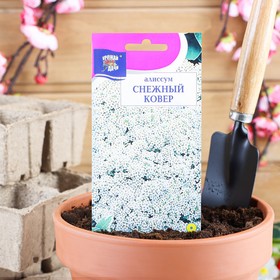 Семена цветов Алиссум "Снежный ковер",0,1 гр