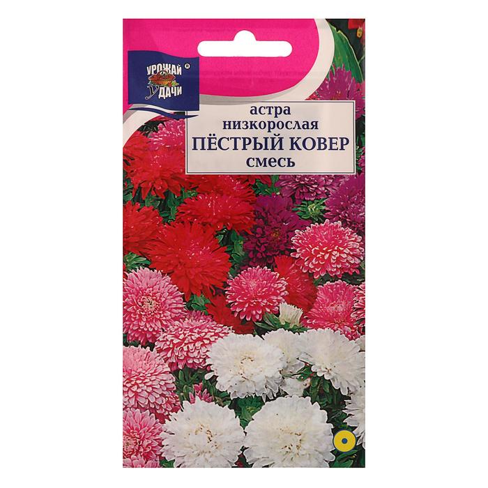 Семена цветов Цв Астра Смесь "ПЁСТРЫЙ КОВЁР", низк.,0,2 гр - Фото 1