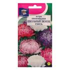 Семена цветов Астра «Школьный звонок», смесь, пионовидная, 0.3 г, «Урожай Удачи» - Фото 1