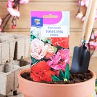 Семена цветов Бальзамин «Том Самб», Смесь, 0.2 г - Фото 1