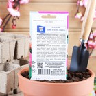 Семена цветов Бальзамин «Том Самб», Смесь, 0.2 г - Фото 2