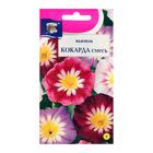 Семена цветов Цв Вьюнок кокарда Смесь,0,5 гр - Фото 3