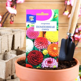 Семена цветов Георгина Смесь "Помпонная",0,2 гр