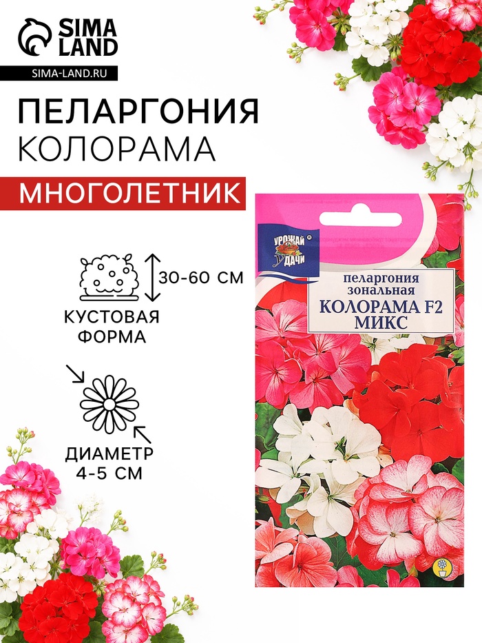 Семена цветов Пеларгония зональная «Колорама » F2, смесь окрасок,0.02 г - Фото 1
