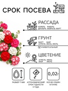 Семена цветов Пеларгония зональная «Колорама » F2, смесь окрасок,0.02 г - Фото 2