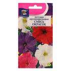 Семена цветов Петуния крупноцветковая Смесь окрасок,0,1 г - Фото 1