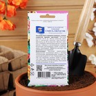 Семена цветов Примула "Золотистая ,Ушковая,", Смесь,0.004 г - фото 21209130