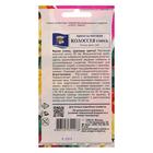 Семена цветов Примула «Колоссея», смесь, 0.03 г, «Урожай Удачи» - Фото 2