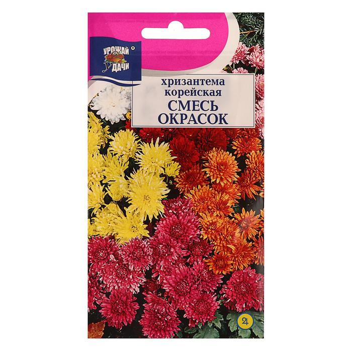 Семена цветов Хризантема Корейская, низкорослая, смесь, 0.02 г, «Урожай Удачи» - Фото 1
