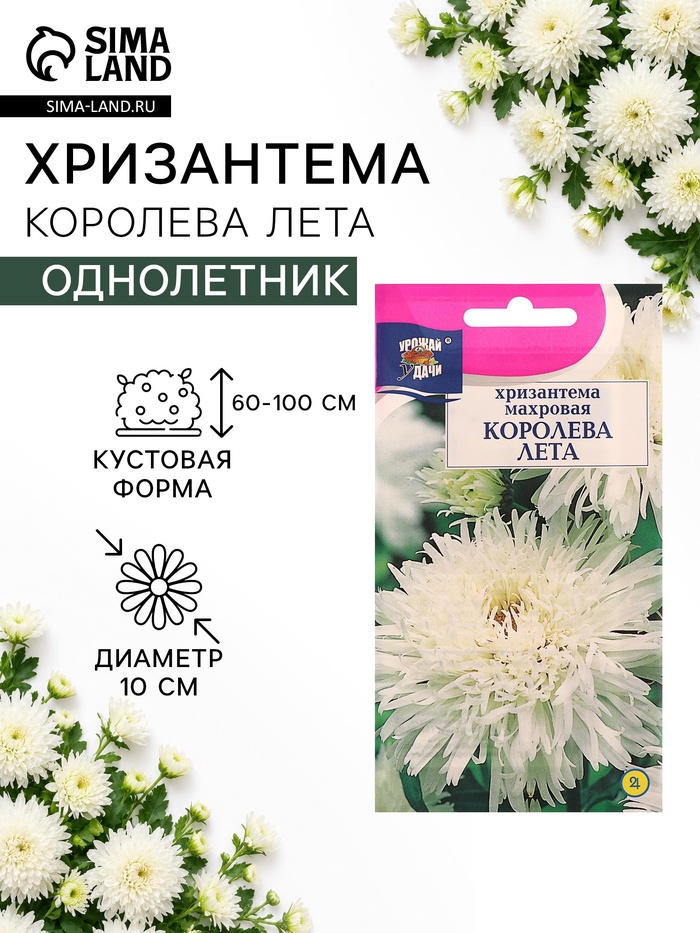 Семена цветов Хризантема многоцветковая «Королева лета», 0.03 г, «УРОЖАЙ УДАЧИ» - Фото 1