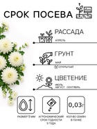 Семена цветов Хризантема многоцветковая «Королева лета», 0.03 г, «УРОЖАЙ УДАЧИ» - Фото 2