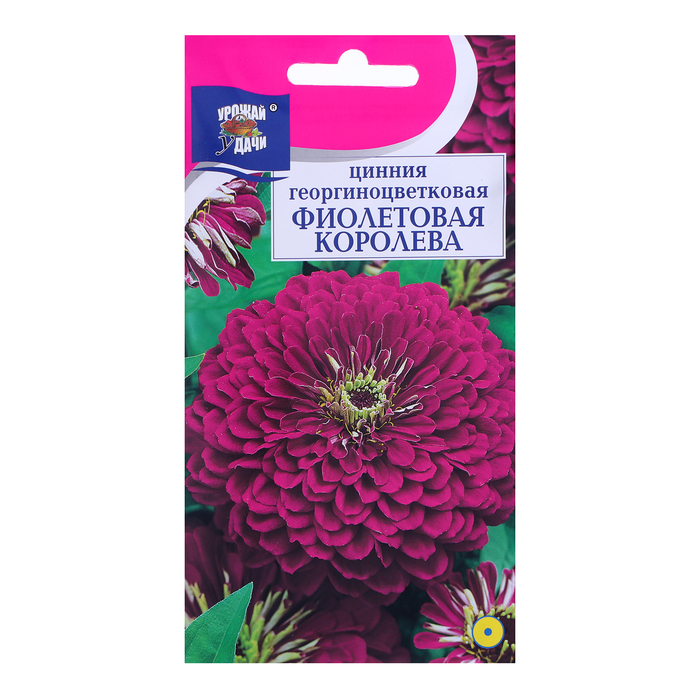 Семена цветов Цв Цинния георгин. "Фиолетовая королева",0,3 гр - Фото 1