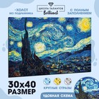Алмазная мозаика с полным заполнением на холсте «Звёздная ночь», 30 х 40 см - фото 318466981