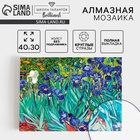 Алмазная мозаика с полным заполнением на холсте «Ирисы», 30×40 см - Фото 1