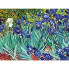 Алмазная мозаика с полным заполнением на холсте «Ирисы», 30×40 см - Фото 2