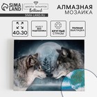 Алмазная мозаика с полным заполнением на холсте «Волки», 30×40 см - Фото 1