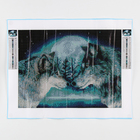 Алмазная мозаика с полным заполнением на холсте «Волки», 30×40 см - Фото 7