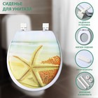 Сиденье для унитаза с крышкой Доляна «Пляж со звездой», 40×37 см, мягкое - Фото 1