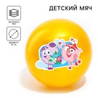 Мяч детский «Нюша и Бараш», Смешарики, диаметр 22 см, 60 г., цвета МИКС - фото 2756191