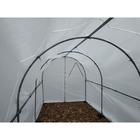 Теплица «МегаЦинк», 6 × 2 × 2 м, оцинкованный профиль 20 × 20 мм, чехол из спанбонда 80 г/м² 6385465