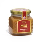 Мёд алтайский с экстрактом корня женьшеня, 330 г - Фото 1