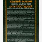 Безалкогольный алтайский медовый бальзам на травах «Анти-простудный» алтайский, 250 мл - Фото 3