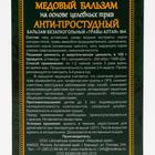 Медовый бальзам «Анти-простудный» алтайский, 250 мл - Фото 3