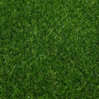 Газон искусственный, ворс 20 мм, 2×5 м, тёмно-зелёный, Greengo - Фото 3