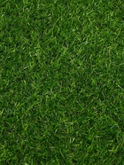 Газон искусственный, ворс 20 мм, 2×5 м, тёмно-зелёный, Greengo - Фото 7