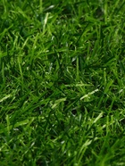 Газон искусственный, ворс 20 мм, 2×5 м, тёмно-зелёный, Greengo - Фото 8