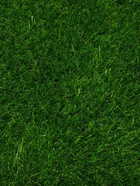 Газон искусственный, ворс 30 мм, 2×5 м, трёхцветный, тёмно-зелёный, Greengo - Фото 7