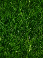 Газон искусственный, ворс 30 мм, 2×5 м, трёхцветный, тёмно-зелёный, Greengo - Фото 8