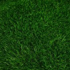 Газон искусственный, для спорта, ворс 40 мм, 2 × 5 м, зелёный, Greengo - Фото 4