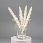 Ваза «Тексел», 1.6 л, 18×17 см, стекло, прозрачная - Фото 2