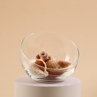 Ваза «Анабель», шаровая с косым резом, 800 мл, d=12 см, h=9.5 см, стекло, прозрачная - Фото 2