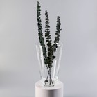 Ваза для цветов «Коническая», 4 л, большая, d=18.5 см, 29×18.5×10 см, стекло, прозрачная - Фото 3