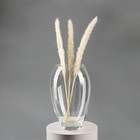 Ваза для цветов «Клавдия», большая, 2.8 л, d=10 см, 24×16 см, стекло, прозрачная - Фото 2