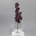 Ваза «Лола», 3.1 л, 25×14 см, стекло, прозрачная - Фото 3