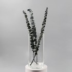 Ваза «Ротонда-1», 3.4 л, 29.5×13.5 см, стекло, прозрачная - Фото 2