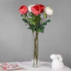 Ваза «Ротонда-2», 640 мл, 30×6 см, стекло, прозрачная - Фото 2