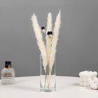 Ваза «Ротонда-3», 430 мл, 15×6.5 см, стекло, прозрачная - Фото 3