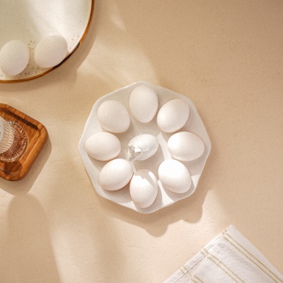 Подставка для яиц SL Home «Пасхальные кролики», 19×9 см, 8 ячеек, доломит, белая