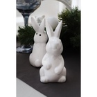 Набор для специй Доляна «Зайка», солонка 50 мл, перечница 50 мл, доломит, белый - Фото 10