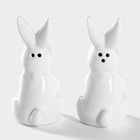 Набор для специй Доляна «Зайка», солонка 50 мл, перечница 50 мл, доломит, белый - Фото 3