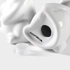 Набор для специй Доляна «Зайка», солонка 50 мл, перечница 50 мл, доломит, белый - Фото 5