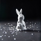 Набор для специй Доляна «Зайка», солонка 50 мл, перечница 50 мл, доломит, белый - Фото 9