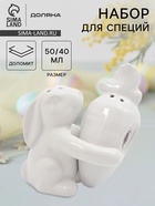 Набор для специй Доляна «Зайка», солонка 50 мл, перечница 40 мл, доломит, белый - Фото 1