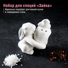 Набор для специй Доляна «Зайка», солонка 50 мл, перечница 40 мл, доломит, белый - Фото 1