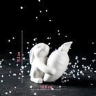 Набор для специй Доляна «Зайка», солонка 50 мл, перечница 40 мл, доломит, белый - Фото 2